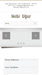 Mobile Screenshot of nebiugur.com