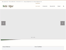 Tablet Screenshot of nebiugur.com